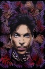 Prince thumbnail