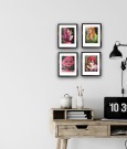 Stevie Nicks thumbnail